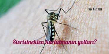 Sivrisinek Nedir Özellikleri ve Zararları