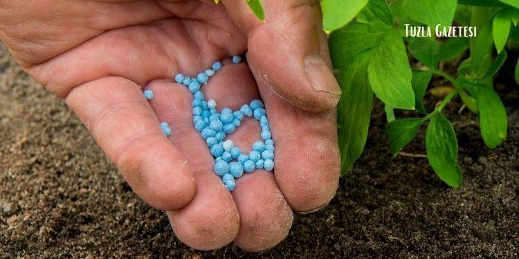 Yaz Ayında Bahçe Bitkilerine Hangi Gübreleri Vermeli