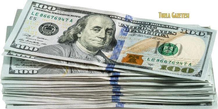 2 Ağustos 2023 Dolar kuru bugün ne kadar gebze