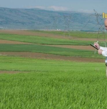 Alan Saha Araştırması Nedir?