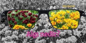Algı nedir