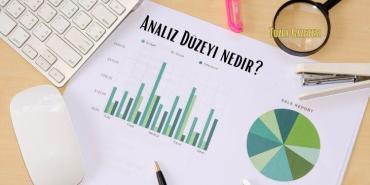 Analiz Düzeyi nedir?