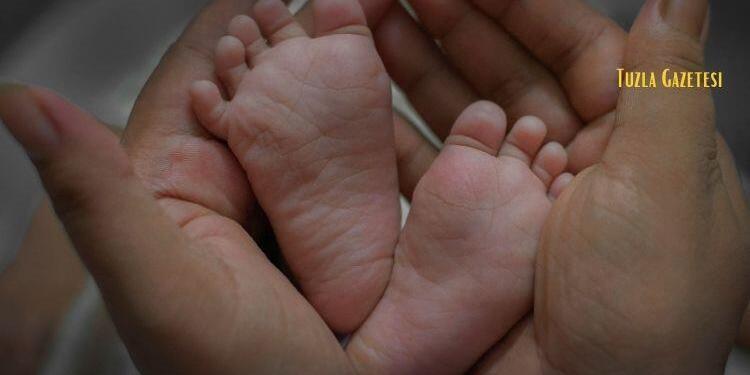 Annelik ve Babalık Nedir