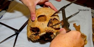 Arkeolojik Antropoloji nedir