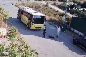 Tuzla'da otobüs şoförü yolda yatan köpeği ezdi ve kaçtı