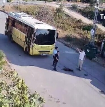 Tuzla'da otobüs şoförü yolda yatan köpeği ezdi ve kaçtı