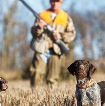 Avcılık Ve Toplayıcılık nedir?