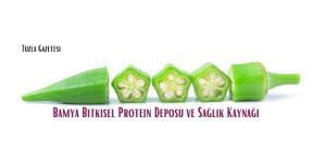 Bamya Bitkisel Protein Deposu ve Sağlık Kaynağı, Bamyanın faydaları nelerdir