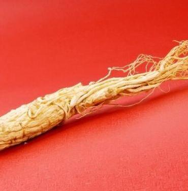 Kırmızı Ginseng Bitkisi