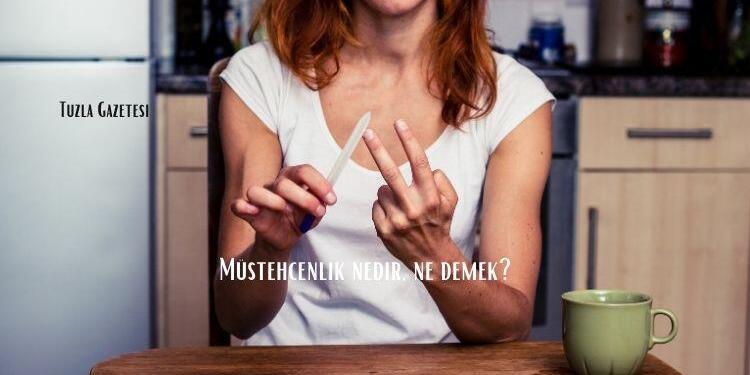 Müstehcenlik nedir ne demek