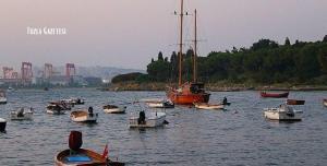 Tuzla Sahile Hangi Otobüs gider