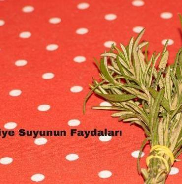 Biberiye Suyunun Faydaları