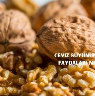 Ceviz Suyunun Sağlığa Faydaları nelerdir