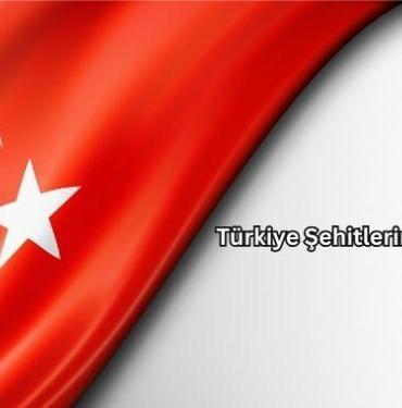 Türkiye Şehitlerine Ağlıyor