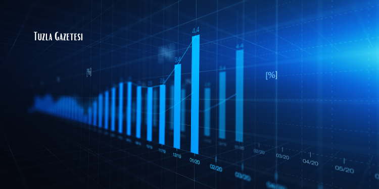 2023 Aralık Ayı Enflasyon Verileri Açıklandı