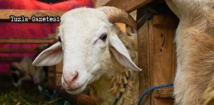 2025 Kurban Bayramı Ne Zaman?