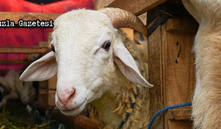 2025 Kurban Bayramı Ne Zaman?