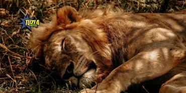 Tuzla Aslan Park bilet fiyatları öğrenci indirimi, tuzla marina