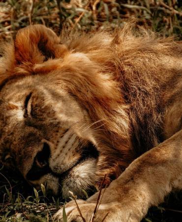 Tuzla Aslan Park bilet fiyatları öğrenci indirimi, tuzla marina